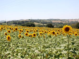 Day 4 - Rimini - San Marino (33)